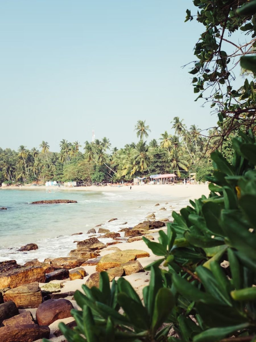 Looking down over Hiriketiya Beach