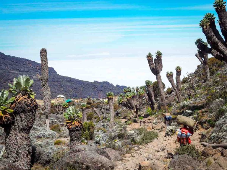 How Hard Is It To Climb Kilimanjaro? (My Experience)