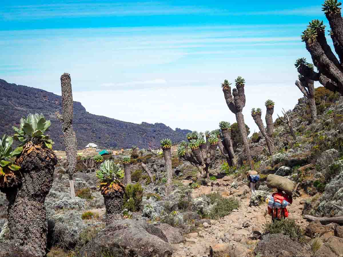 Tristan Balme How hard is it to climb kilimanjaro my experience on the mountain