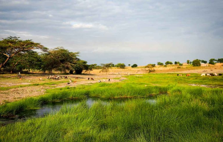 13 Best Things to Do in Moshi, Tanzania