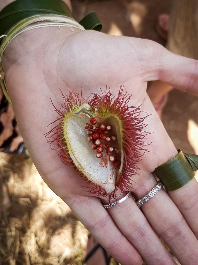 Fresh spices and fruit on a Zanzibar spice farm tour