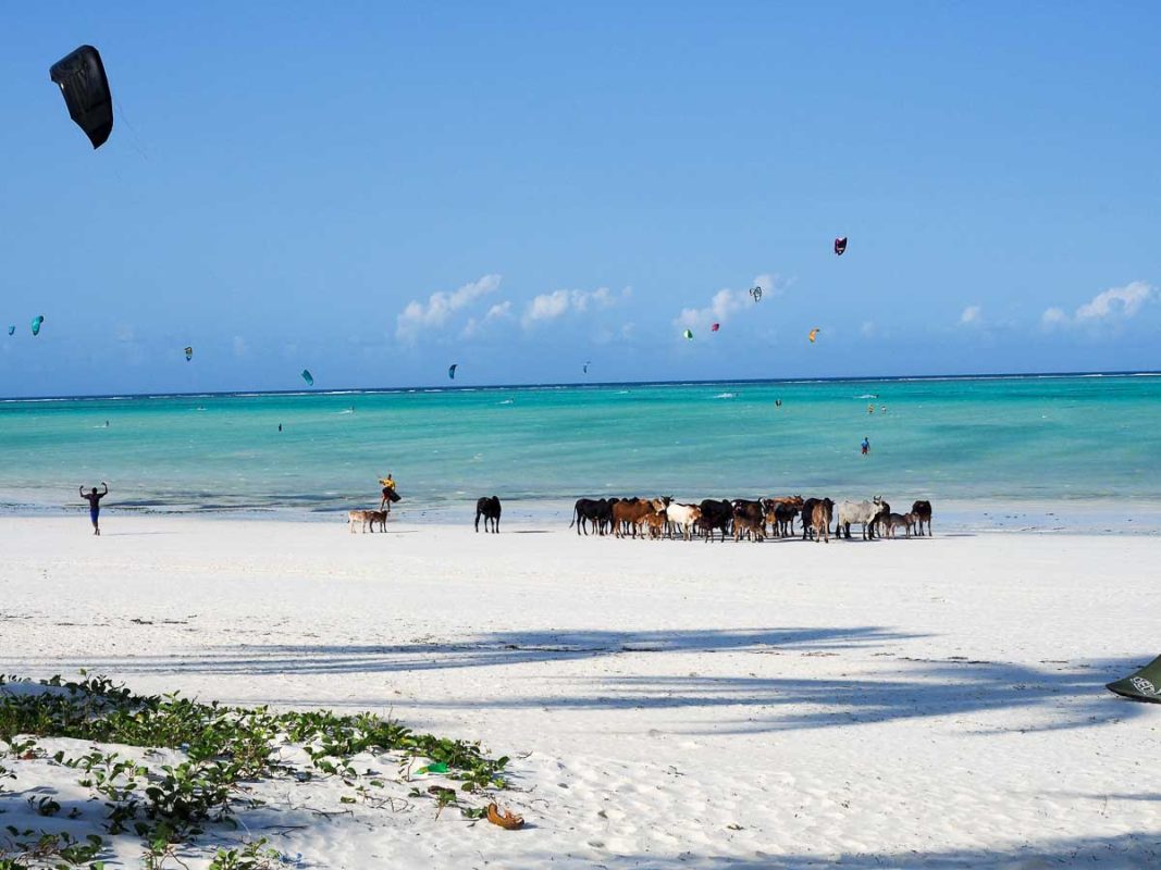 Tristan Balme mwete beach in zanzibar