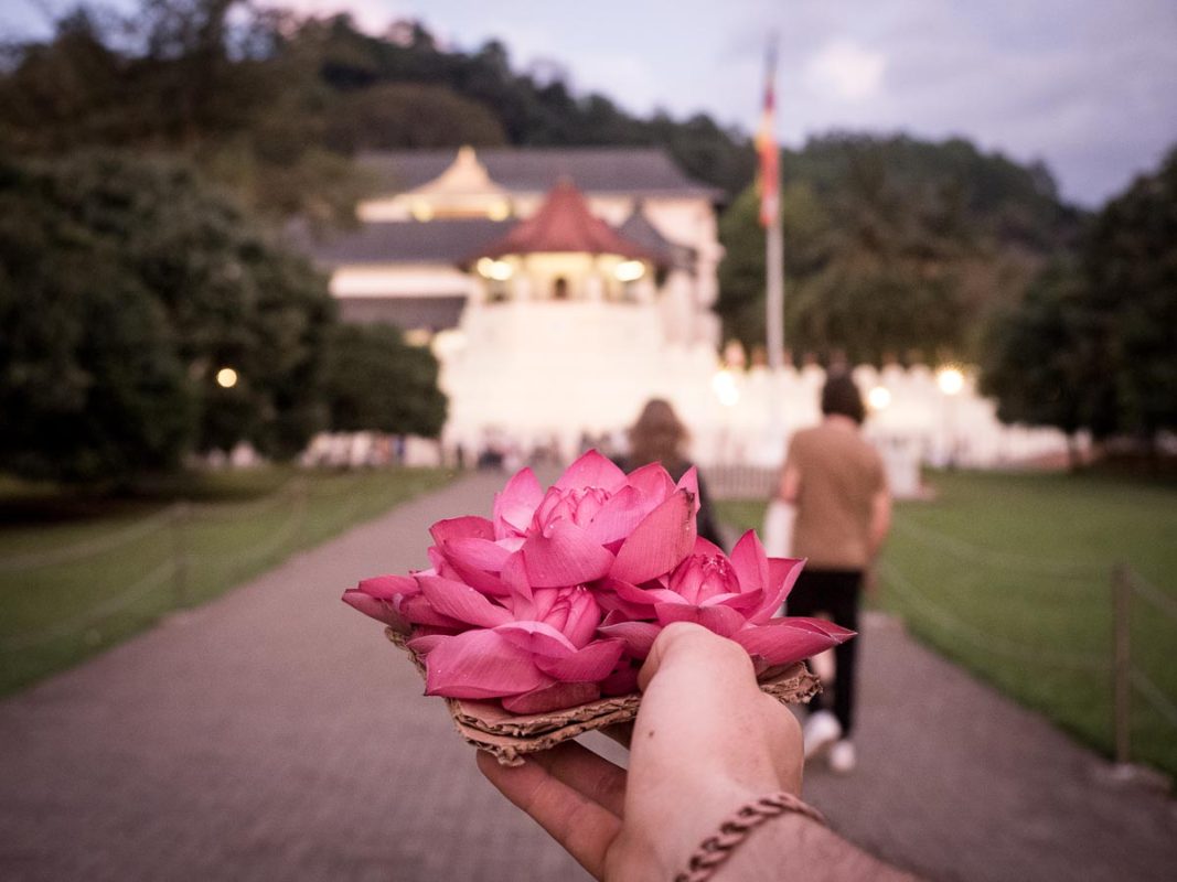 Tristan Balme temple of the tooth relic in kandy sri lanka