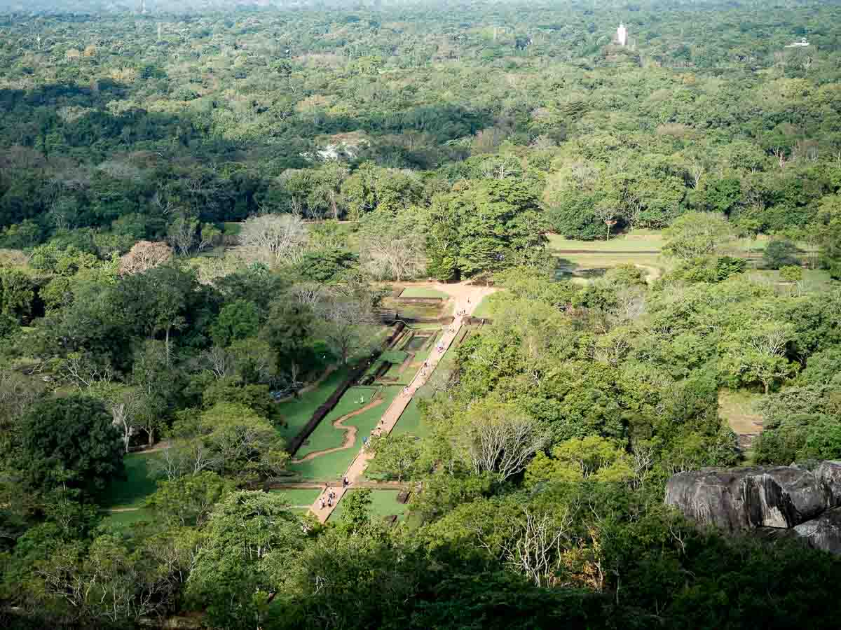 Sigiriya water gardens and forest viewed from the rock staircase