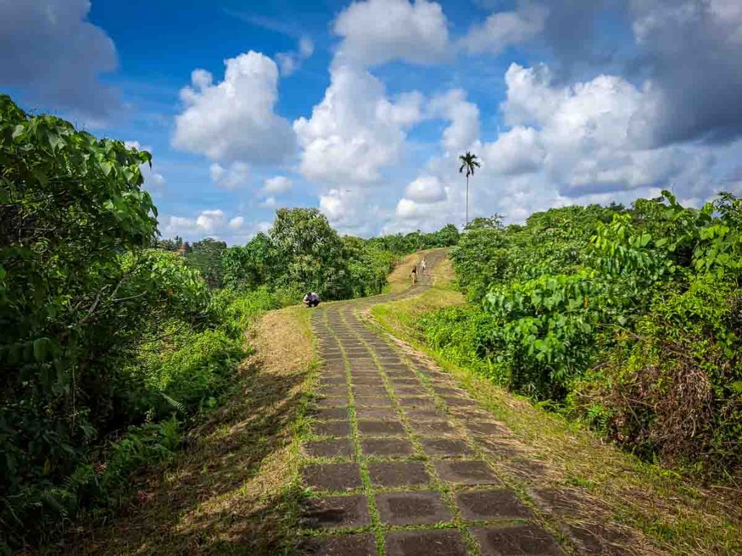 Tristan Balme Campuhan ridge line walk