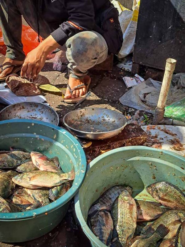 Tristan Balme a guide to avoiding bali belly