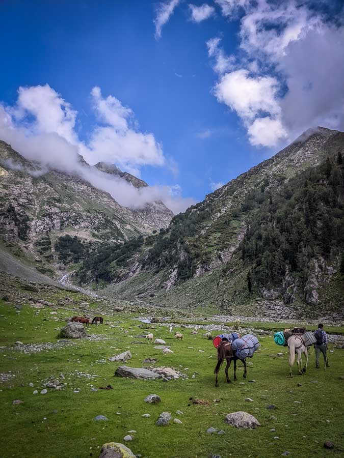 Ponies climbing the trail towards Tulian Lake in Kashmir