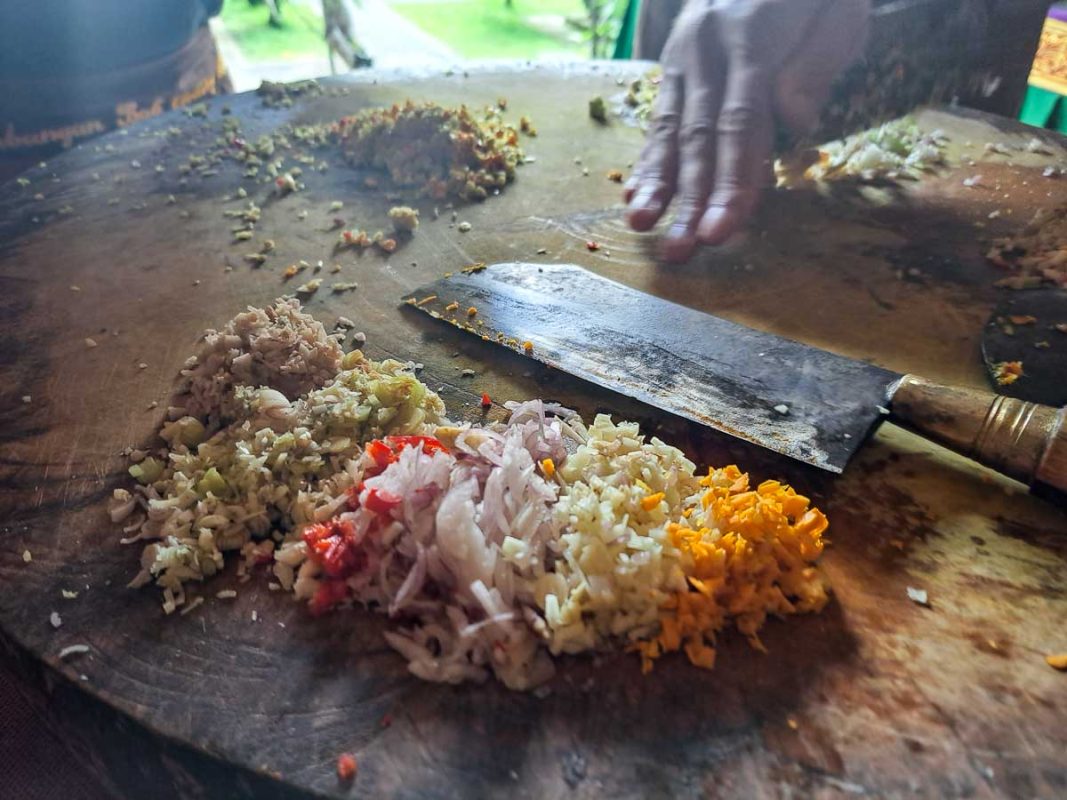 Tristan Balme taking a cooking class in ubud bali