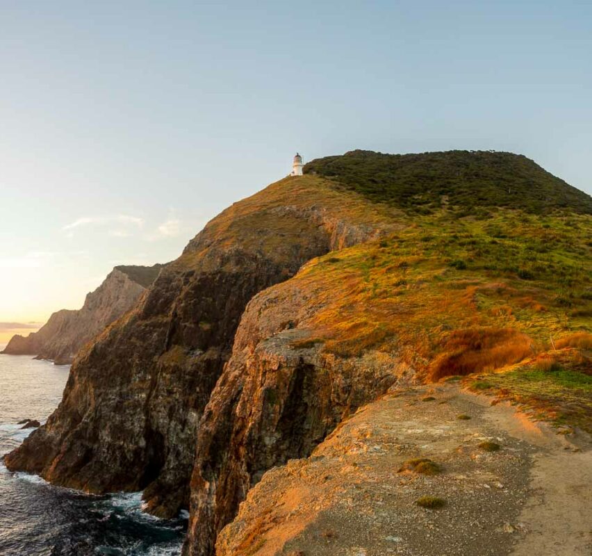 Tristan Balme Cape Brett Lighthouse walk cliffs