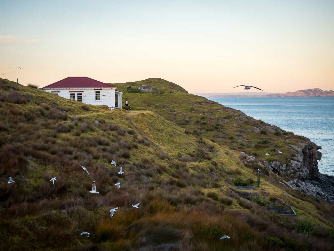 Tristan Balme Cape brett hut by cape brett lightouse