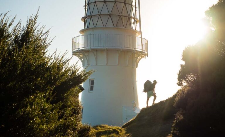 My Tips For Cape Brett Lighthouse Track (With Photos)
