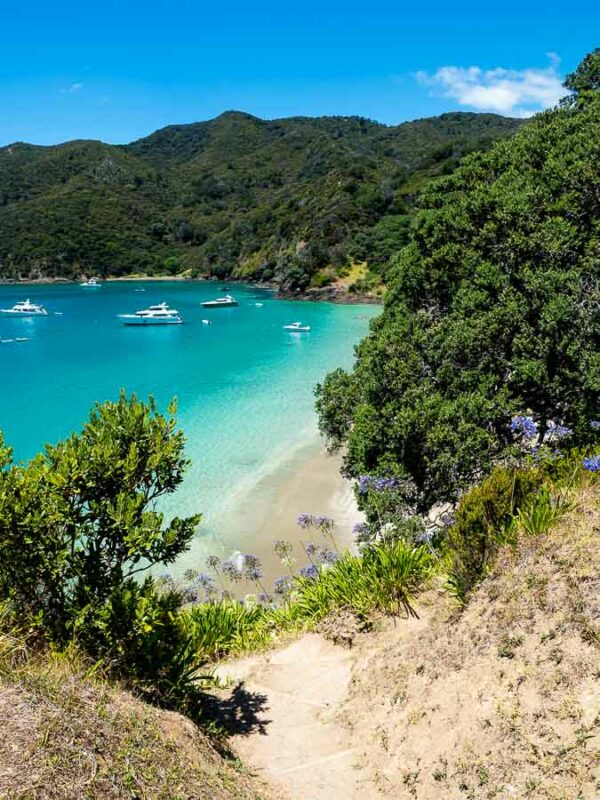 Tristan Balme the trail head at cape brett lighthouse hike