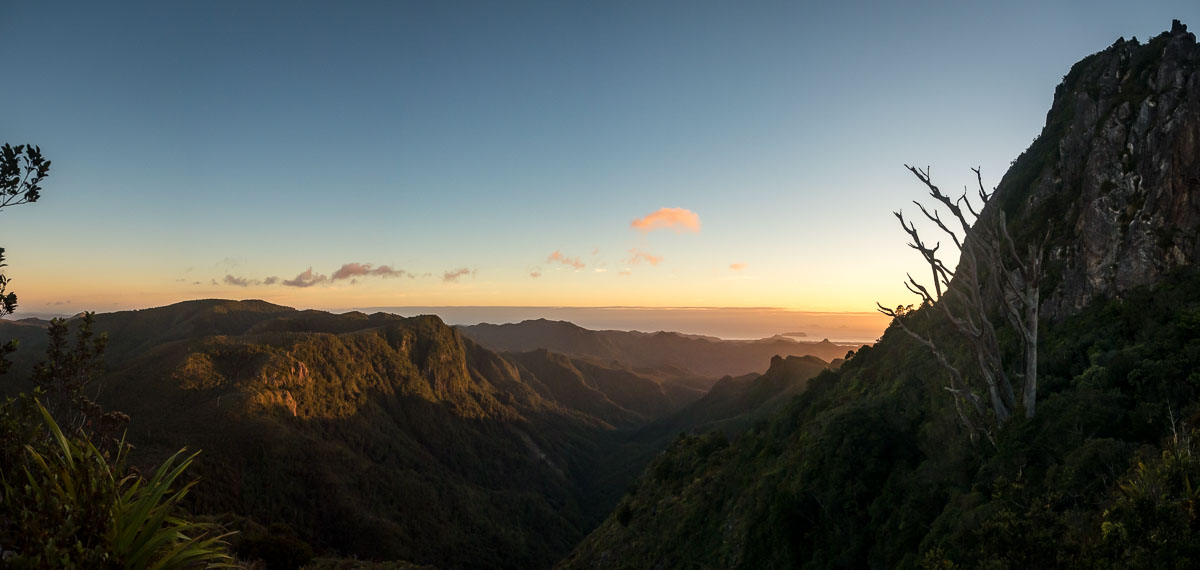 Tristan Balme Coromandel Pinnacles Kauaeranga Kauri Trail