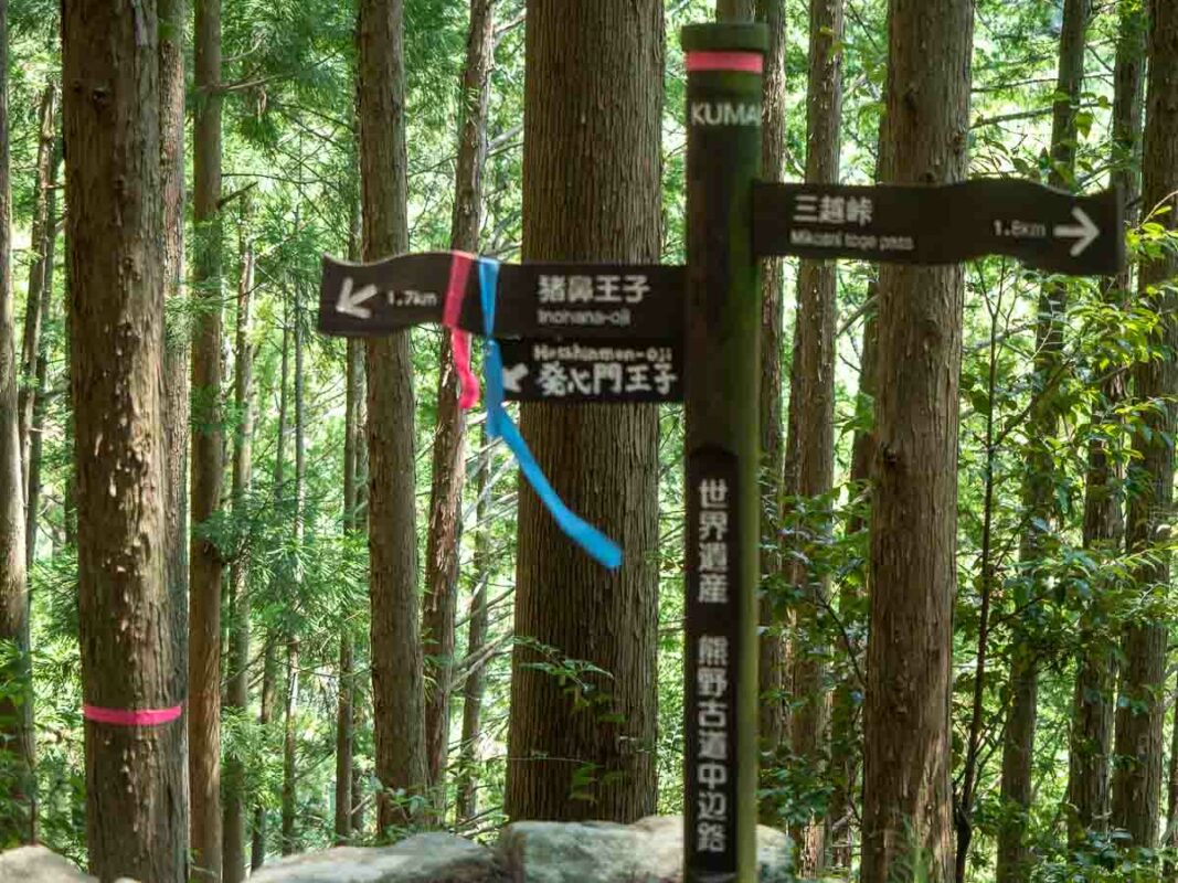 Tristan Balme hiking the kumano kodo in summer