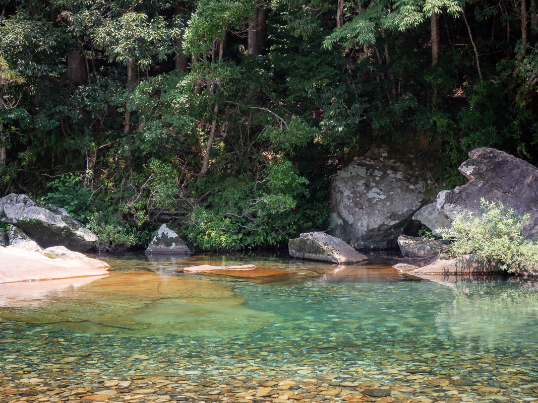 Tristan Balme hiking the kumano kodo in summer 2