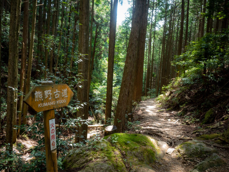 Kumano Kodo Nakahechi Route (Tips + My Experience)