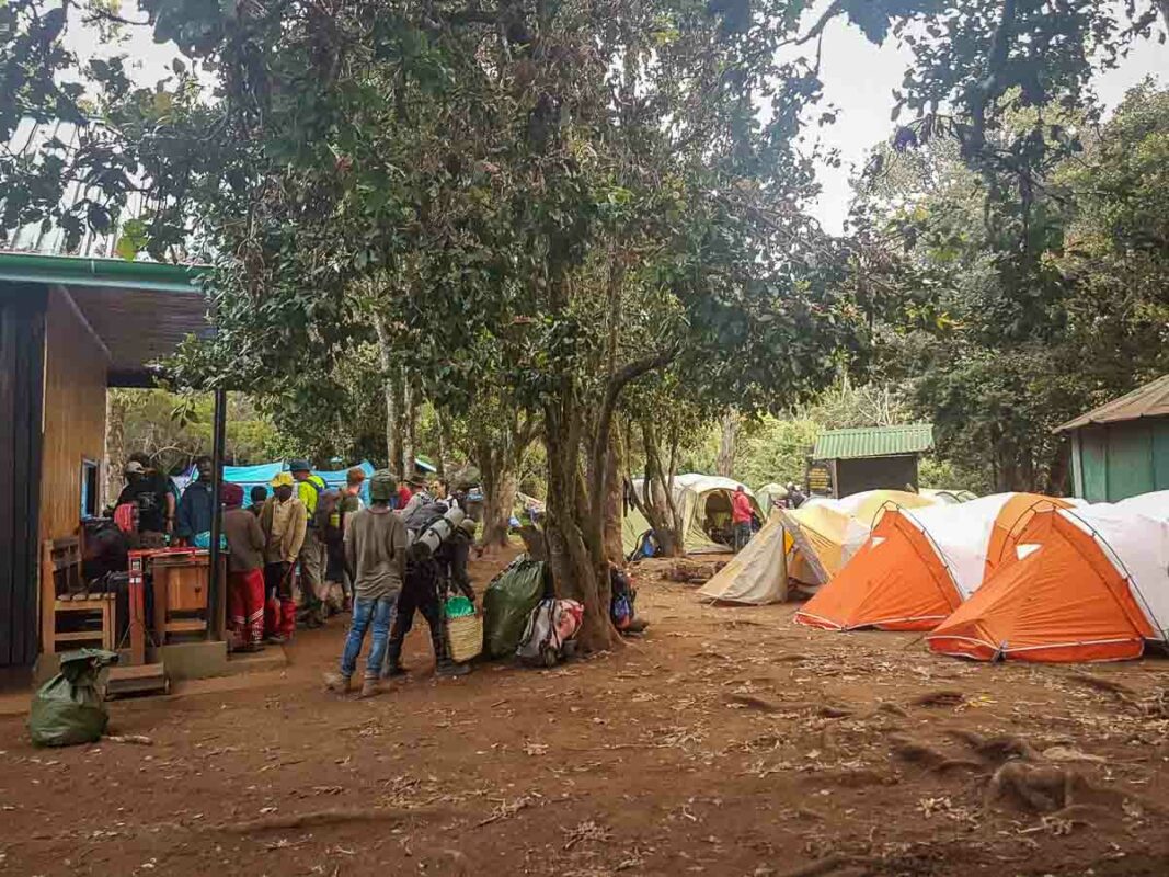 Tristan Balme Tristan Balme Kilimanjaro Lemosho Route mti mkubwa camp