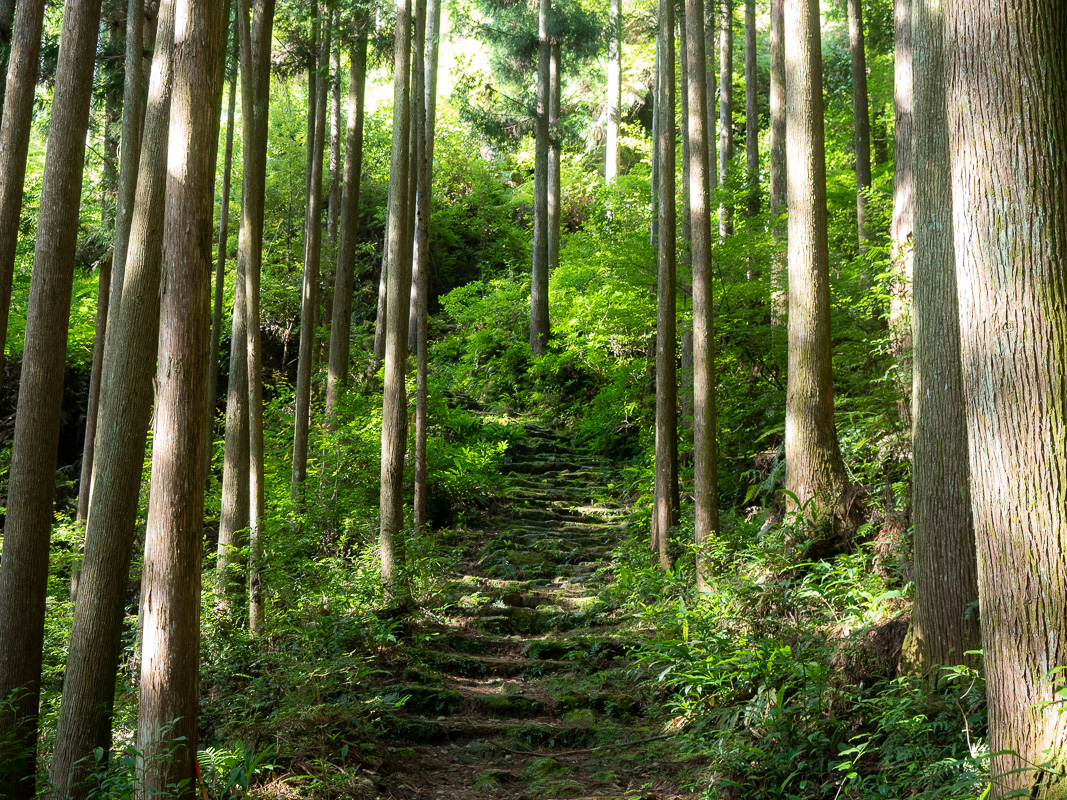 Tristan Balme nakahechi route kumano kodo