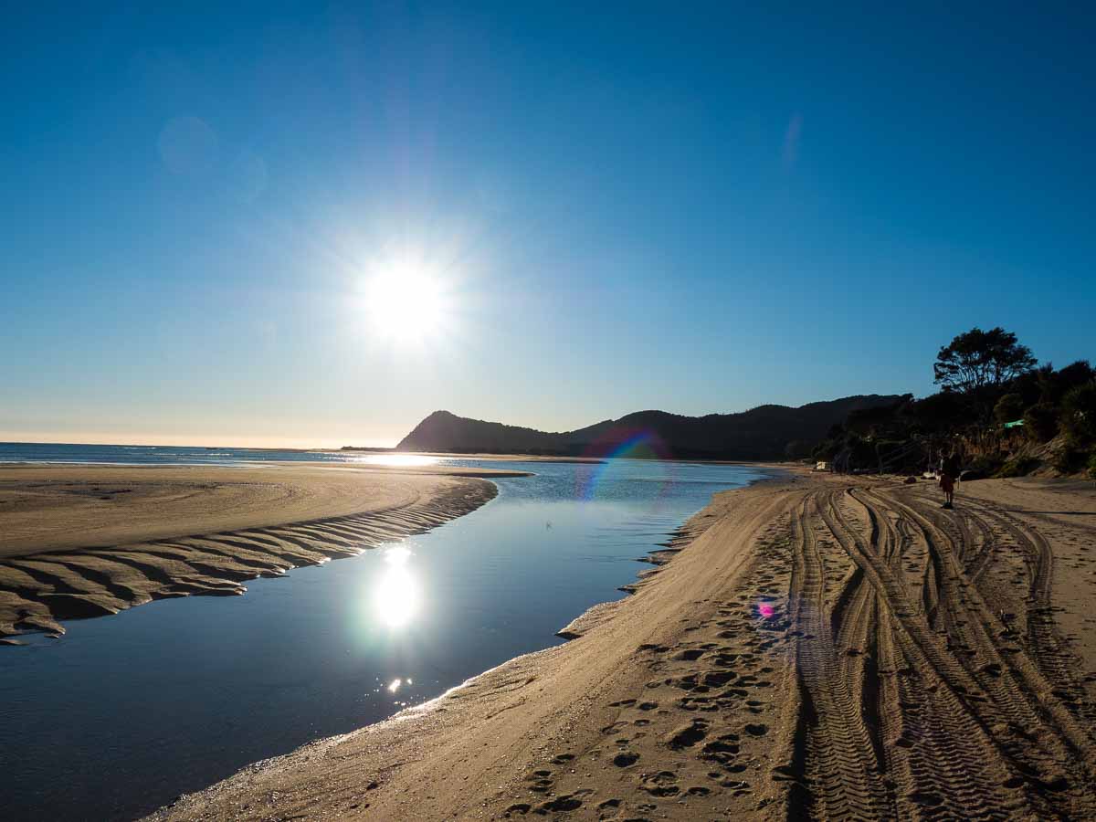 Low tide channel curving through an Abel Tasman estuary