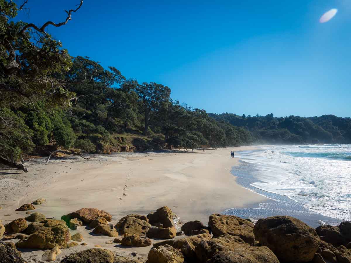 Quiet golden beach on the northern Abel Tasman Coast Track