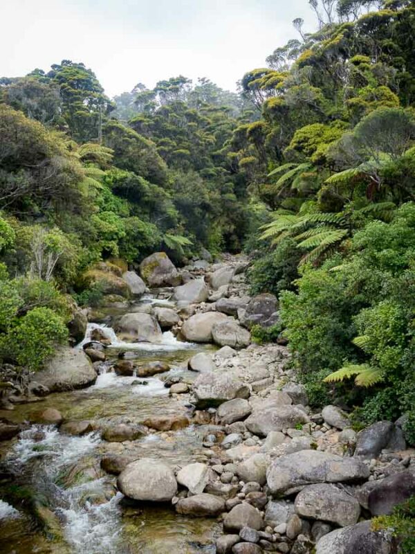 Tristan Balme Heaphy Track 20