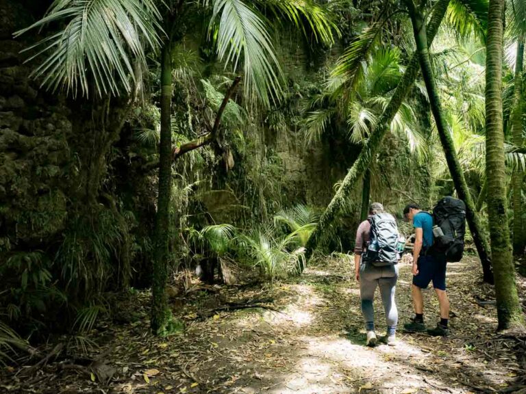 10 Great Walks Of New Zealand (Start Here)