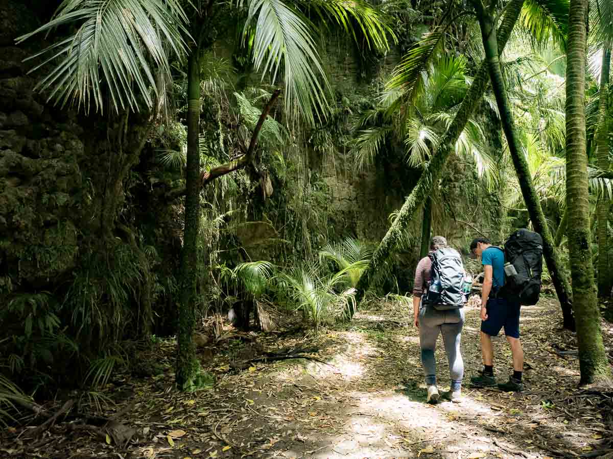 Tristan Balme Heaphy Track 23