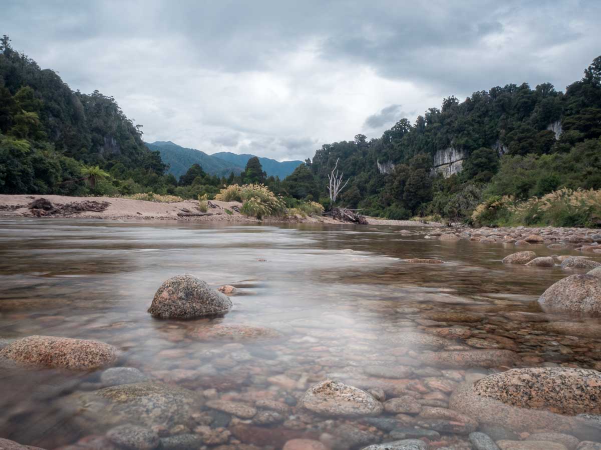 Rocky Heaphy River flowing through dense West Coast forest
