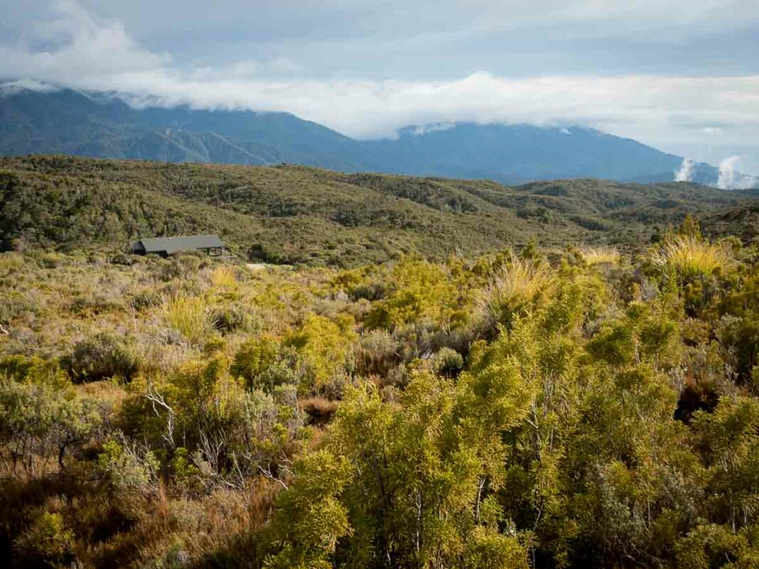 Tristan Balme Heaphy Track Photos 10