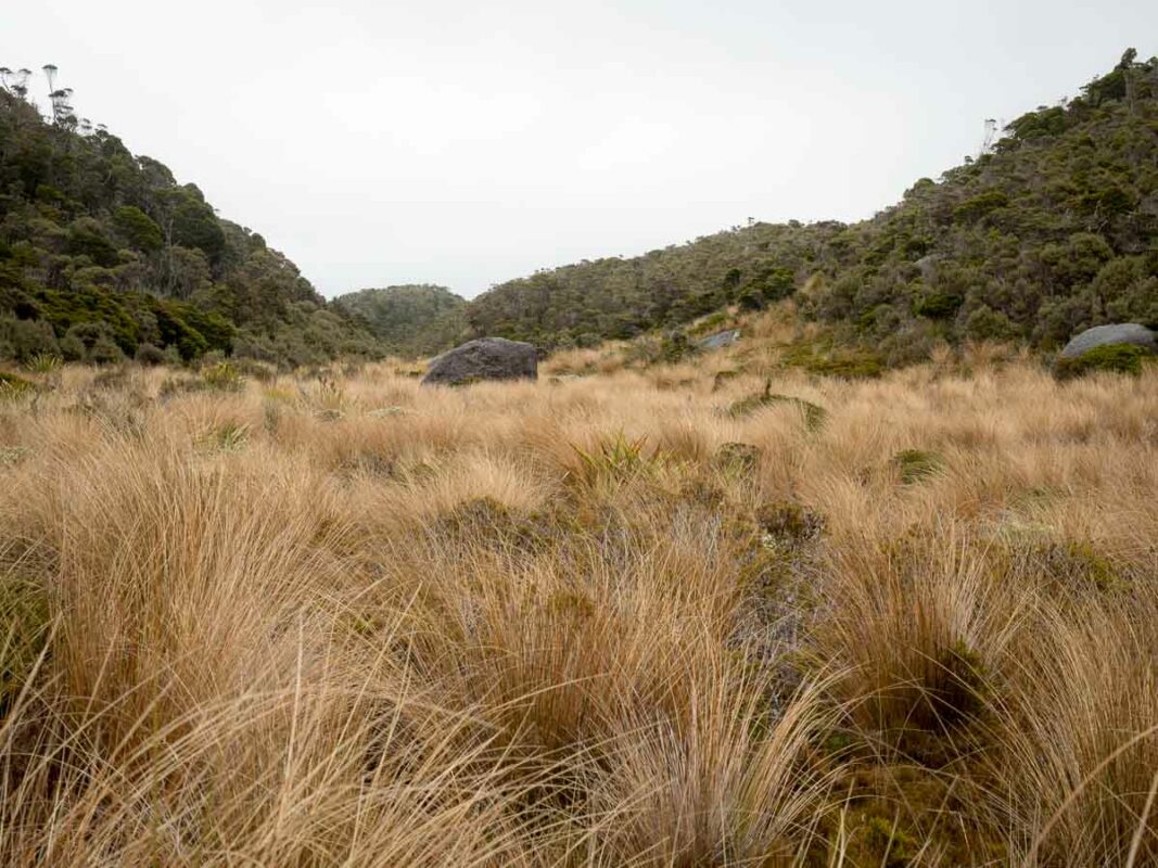 Tristan Balme Heaphy Track Photos 13
