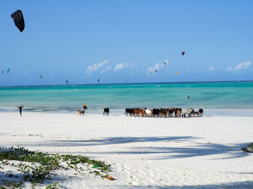 Tristan Balme mwete beach in zanzibar