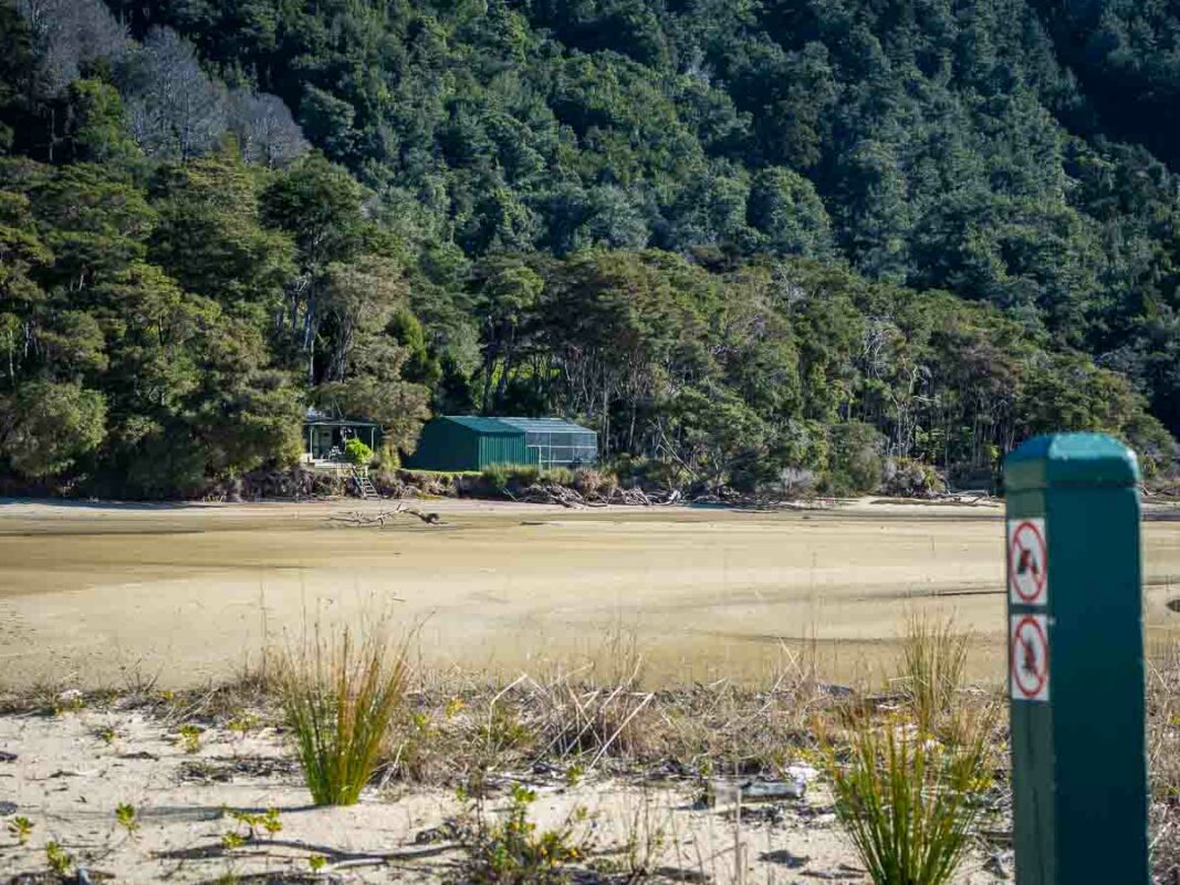 This image has an empty alt attribute; its file name is Tristan-Balme-Abel-Tasman-Hike-28-1067x800.jpg