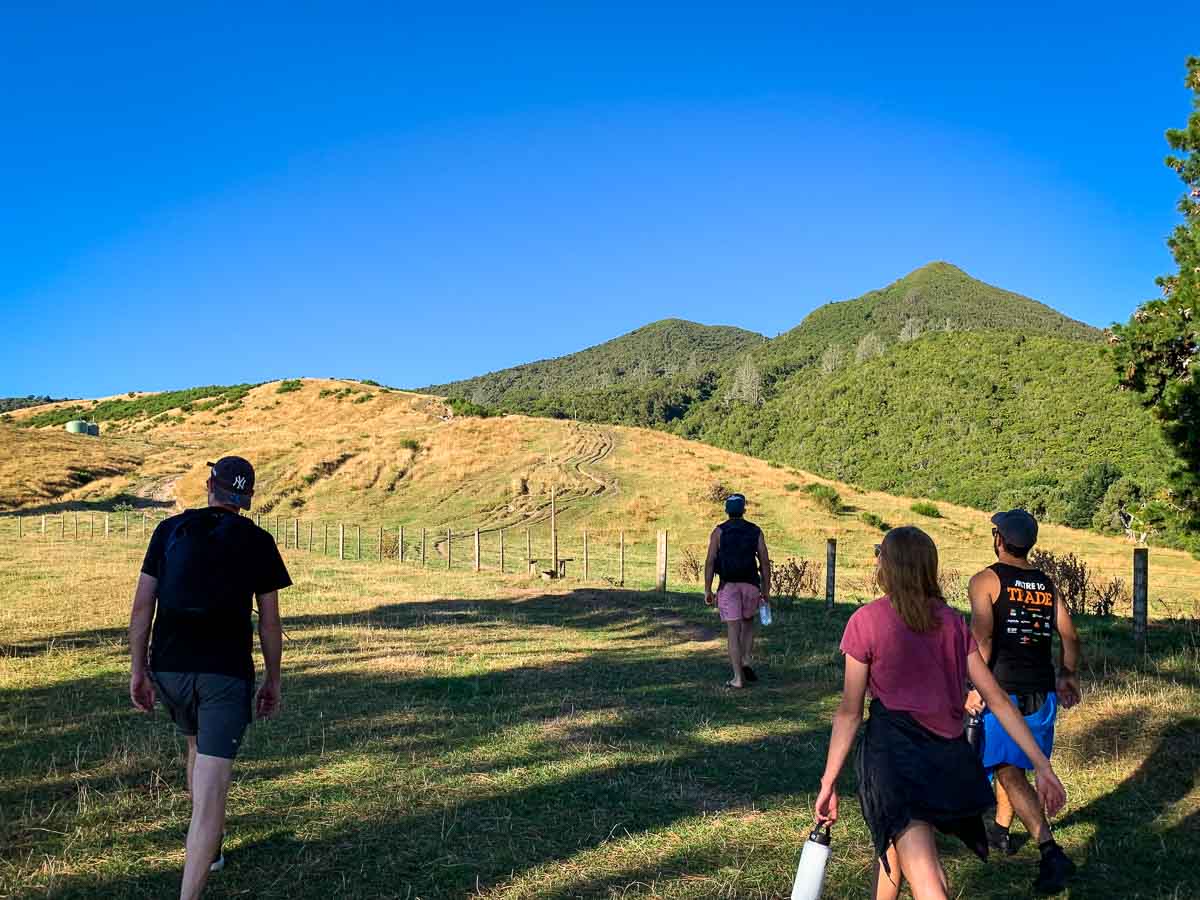 Grassy farm section near the beginning of the Mount Tauhara walk