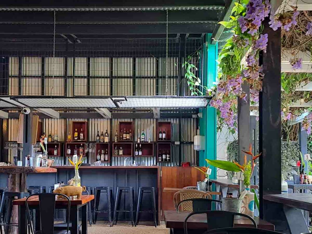 Tristan Balme Where to eat port vila three pigs