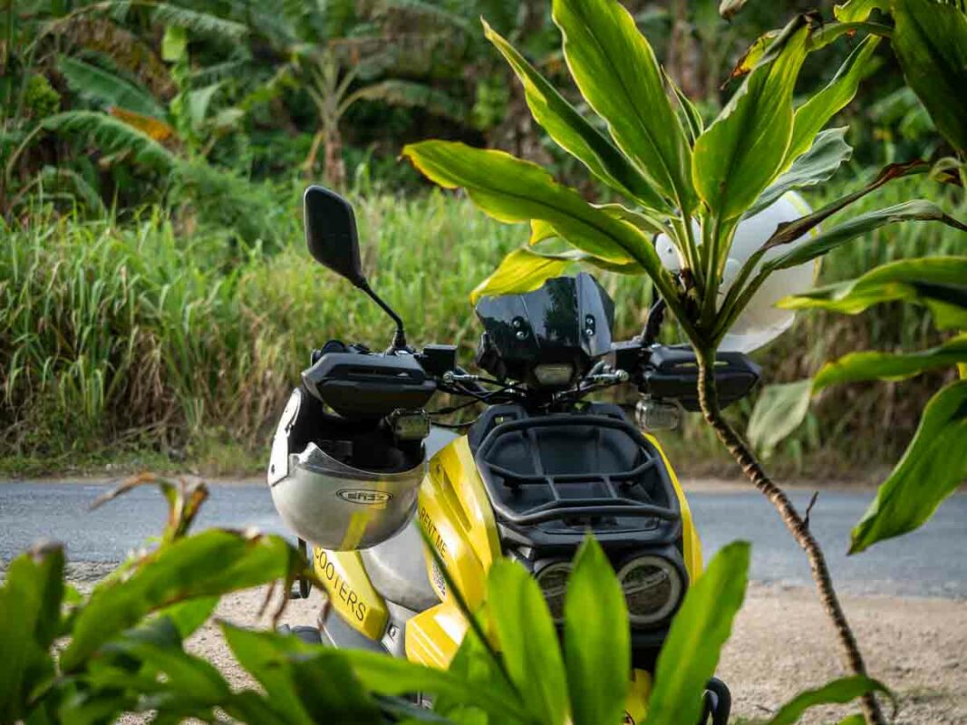 Tristan Balme best things to do in vanuatu hire a scooter