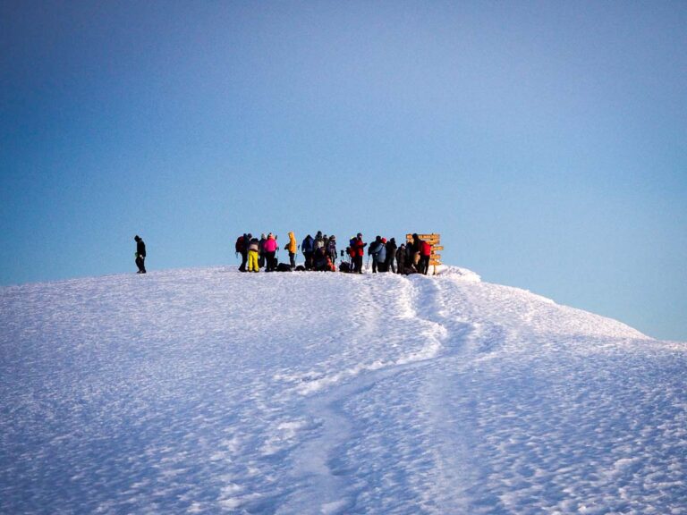 The 7 Best Kilimanjaro Tour Operators (And Who I Used!)