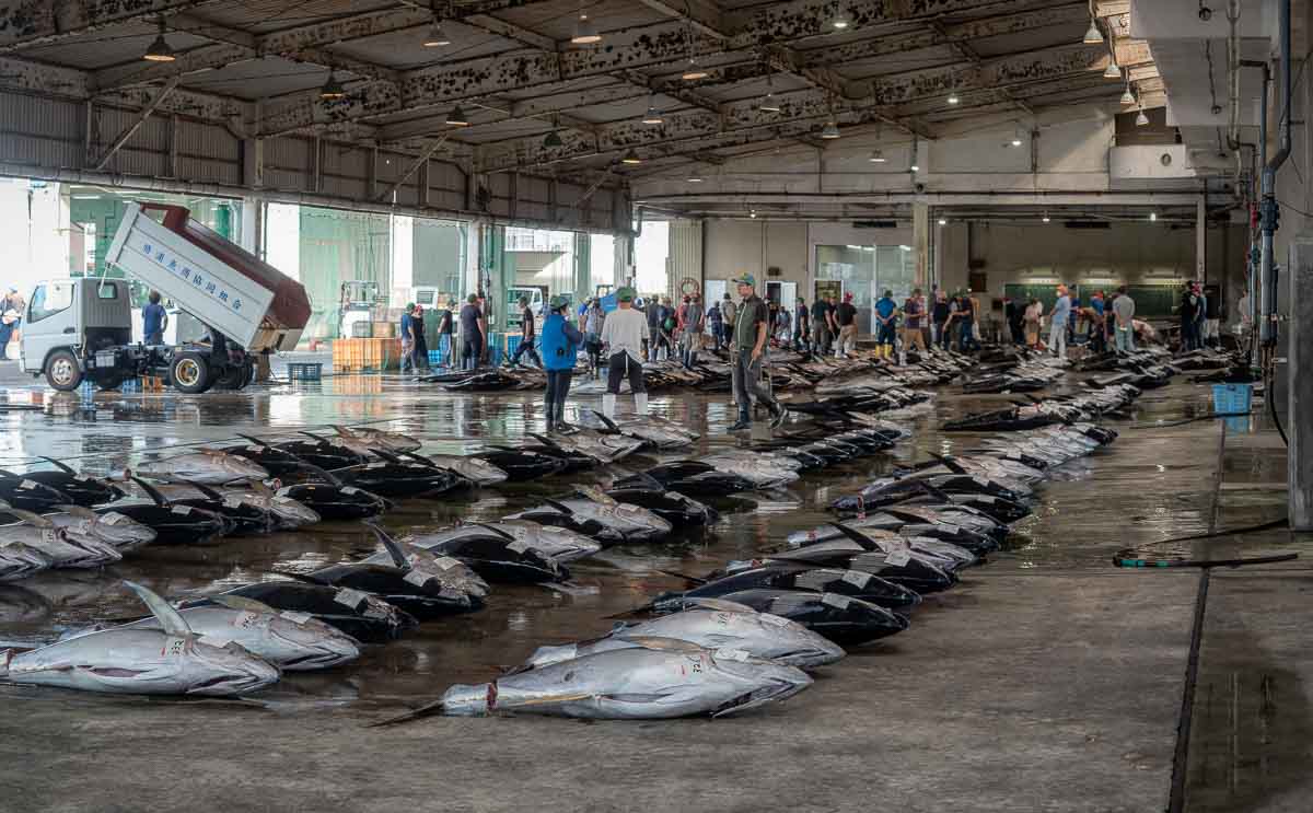 Tristan Balme Kii Katsuura tuna market