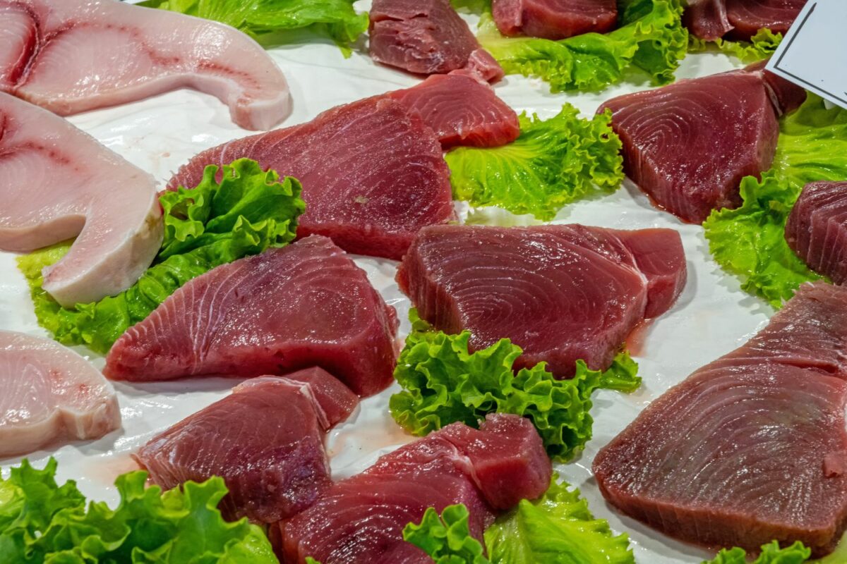 Tristan Balme fresh tuna