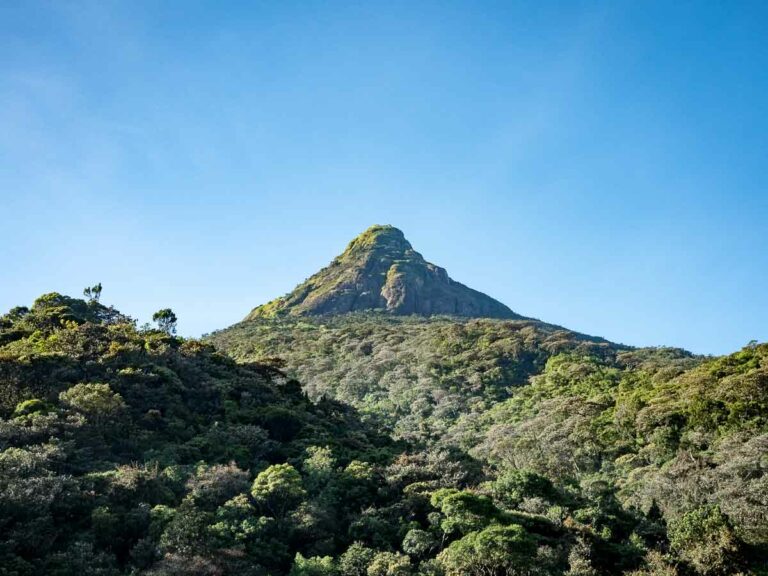 The Best Hotel In Dalhousie, Sri Lanka (For Hiking Adams Peak)