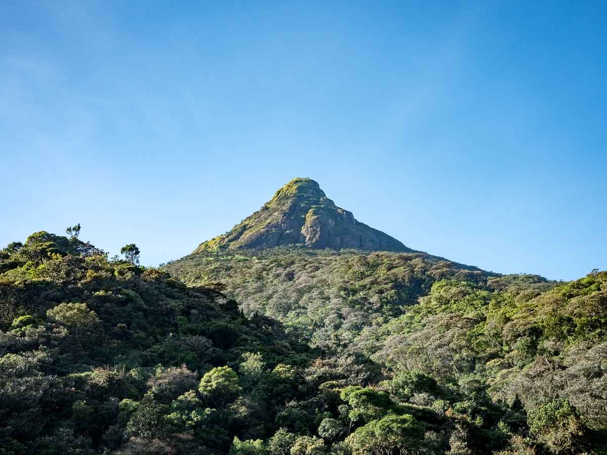 Tristan Balme the bost hotel in dalhousie adams peak