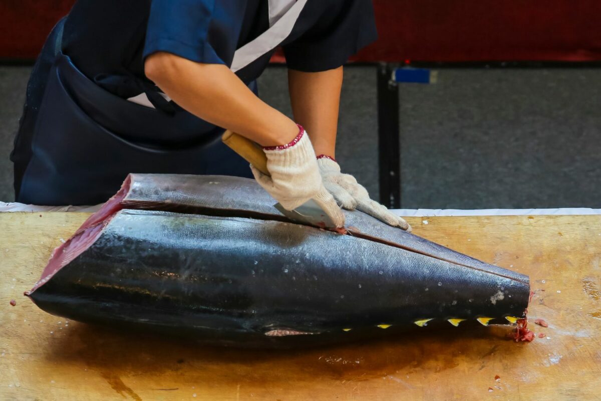 Tristan Balme tuna display