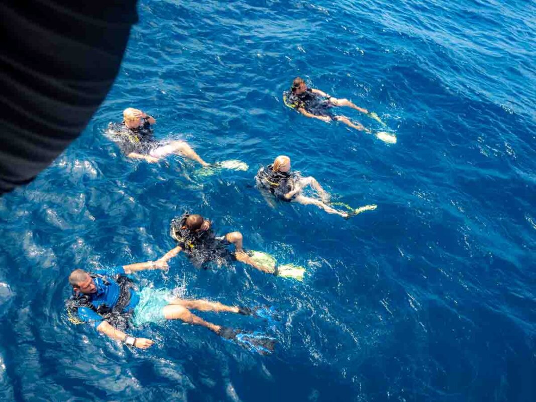 Tristan Balme 1 12 1