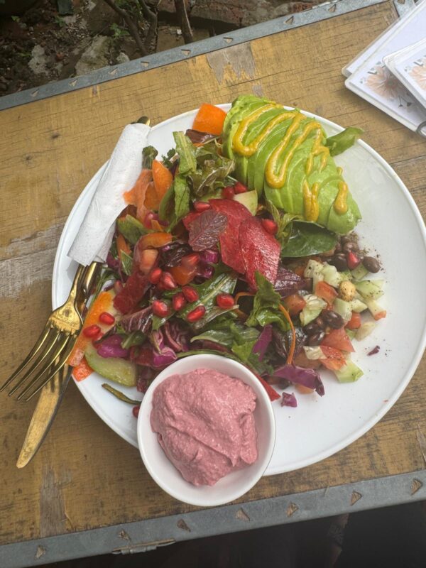 WhatsApp Image 2024 11 08 at 9.20.29 AM