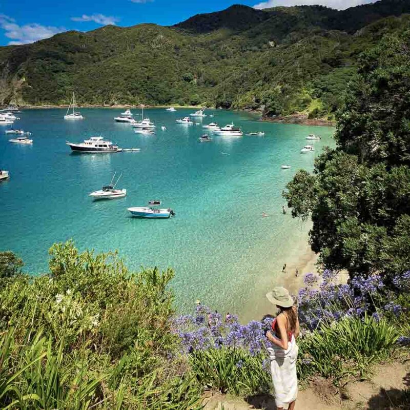 Tristan Balme Oke Bay