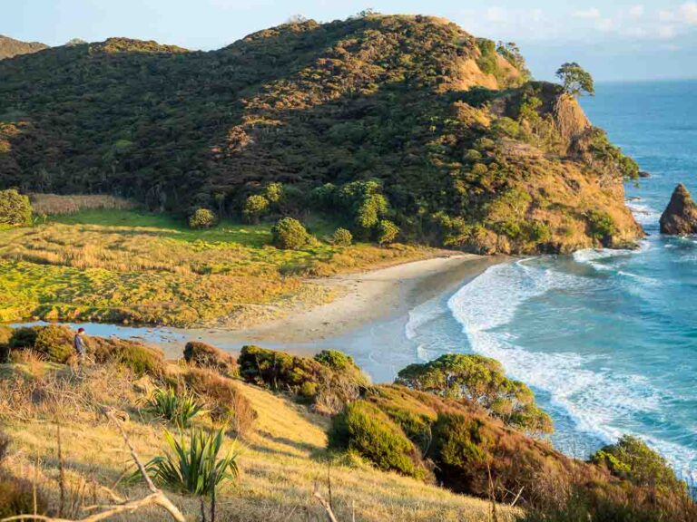 Te Paki Coastal Track | Full Guide + Photos!