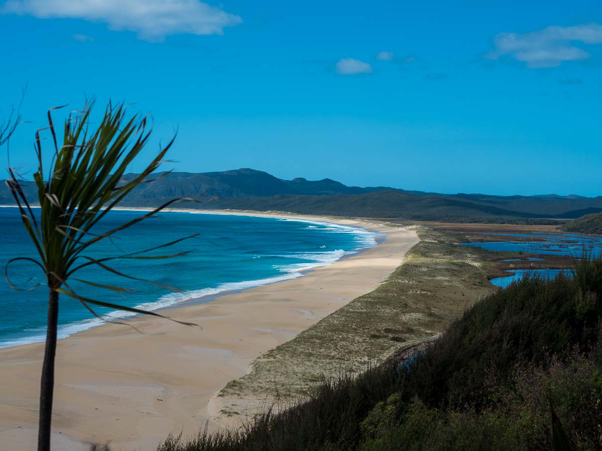 Long empty beach and wetlands on the Te Paki Coastal Track near Kapowairua
