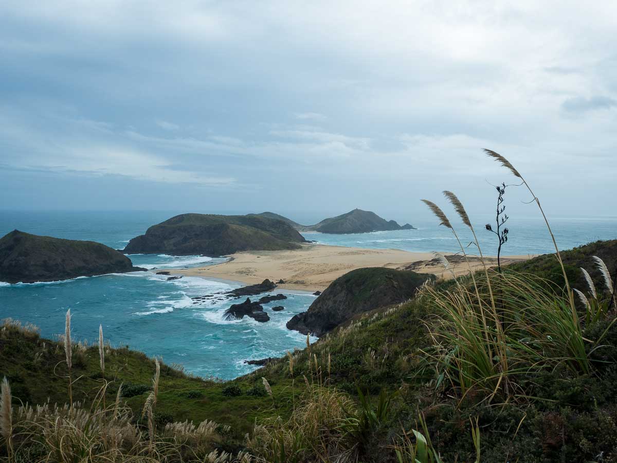 Rugged headlands and sand west of Cape Reinga on the Te Paki Coastal Track