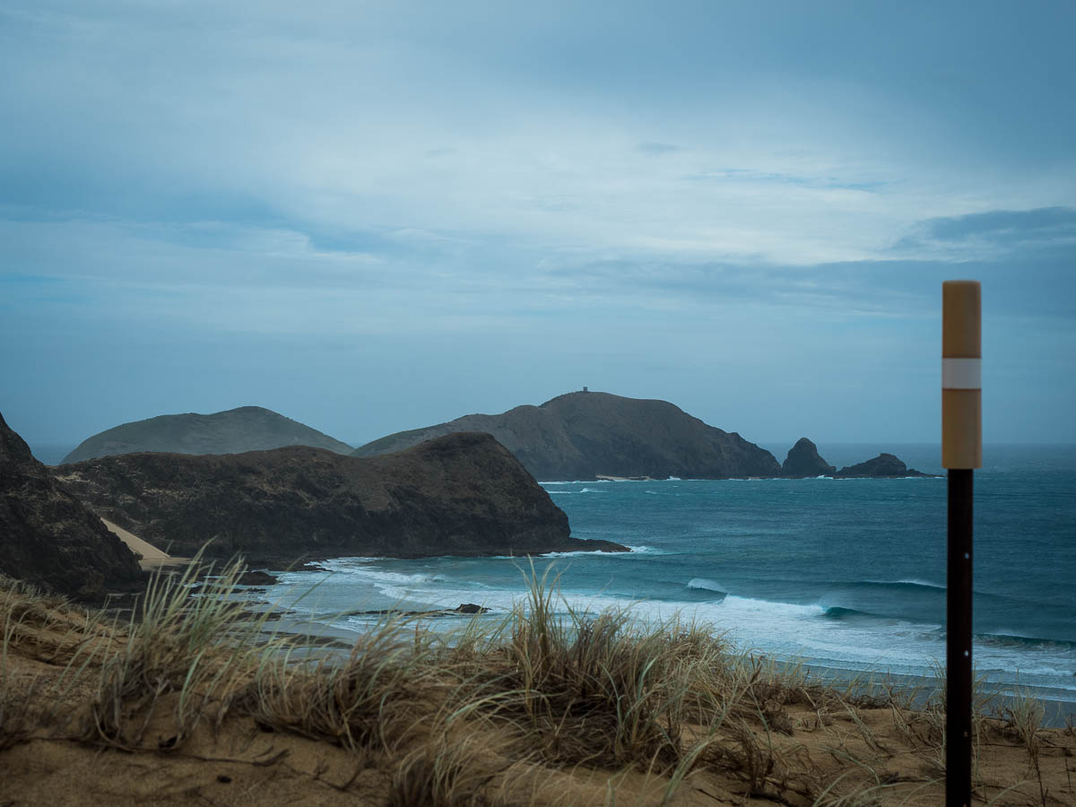 Track marker above the rugged coastline west of Cape Reinga