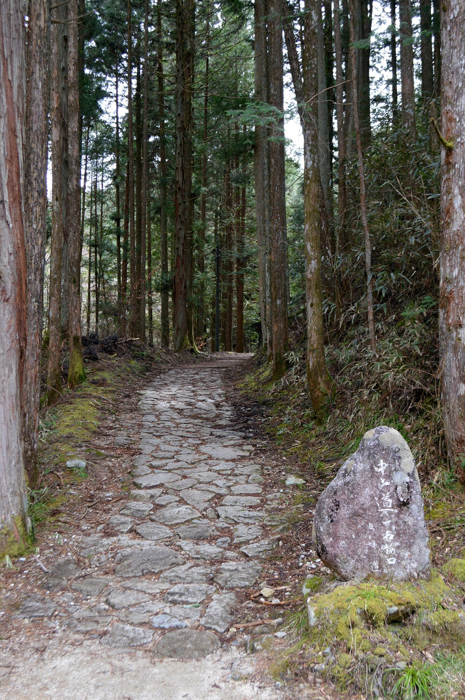 Forest path on the Nakasendo Way between Magome-juku and Tsumago-juku in Japan
