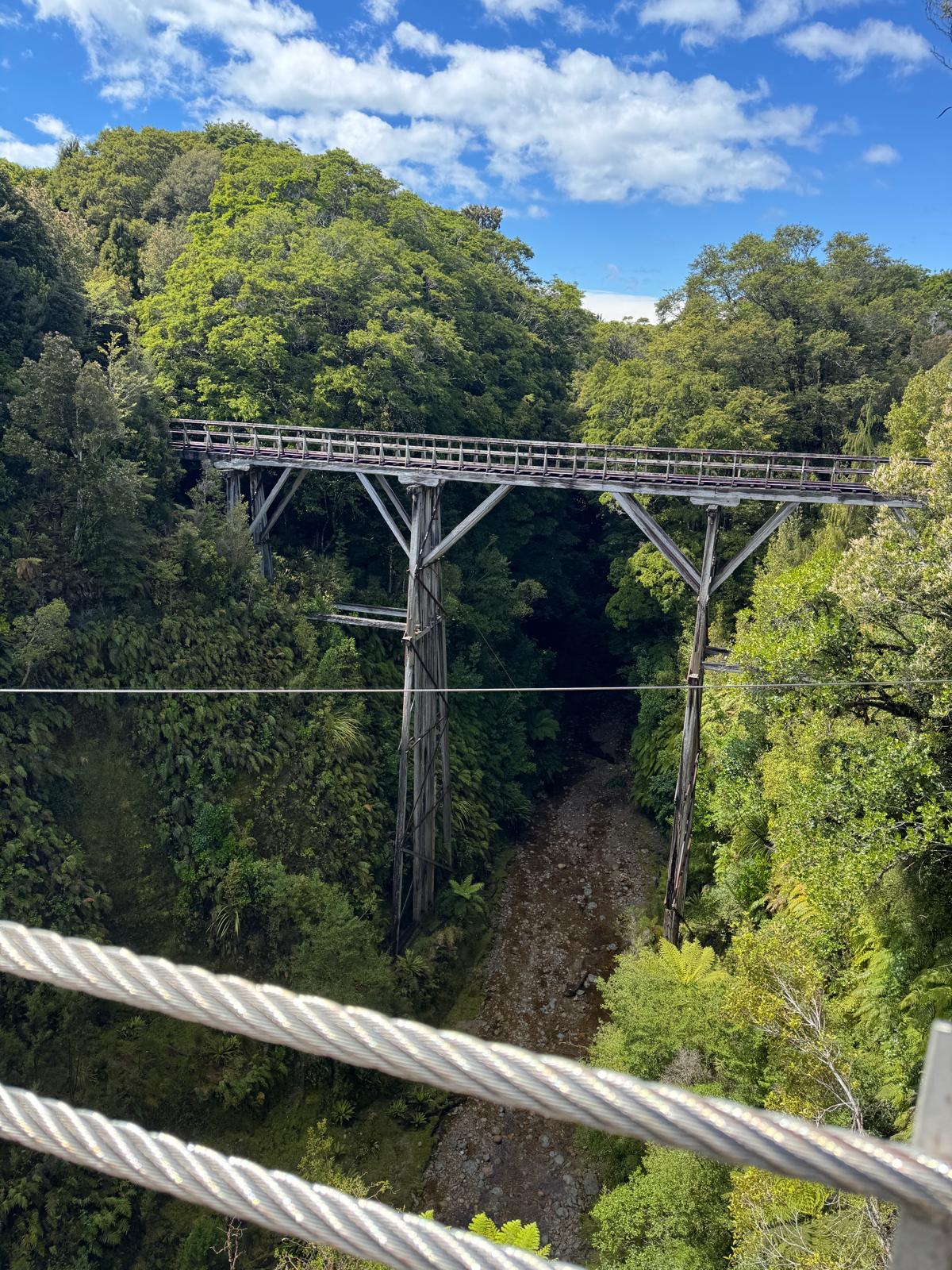 Historic wooden viaduct spanning a forested gorge beside the Hump Ridge Track